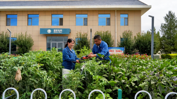 靠谱配资网站 “五小”建设迎丰收 暖心服务显真情